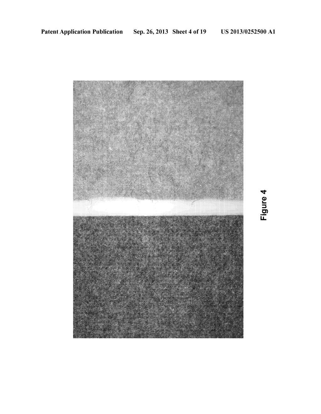 NON-WOVEN FABRIC COMPOSITES FROM COIR FIBERS - diagram, schematic, and image 05