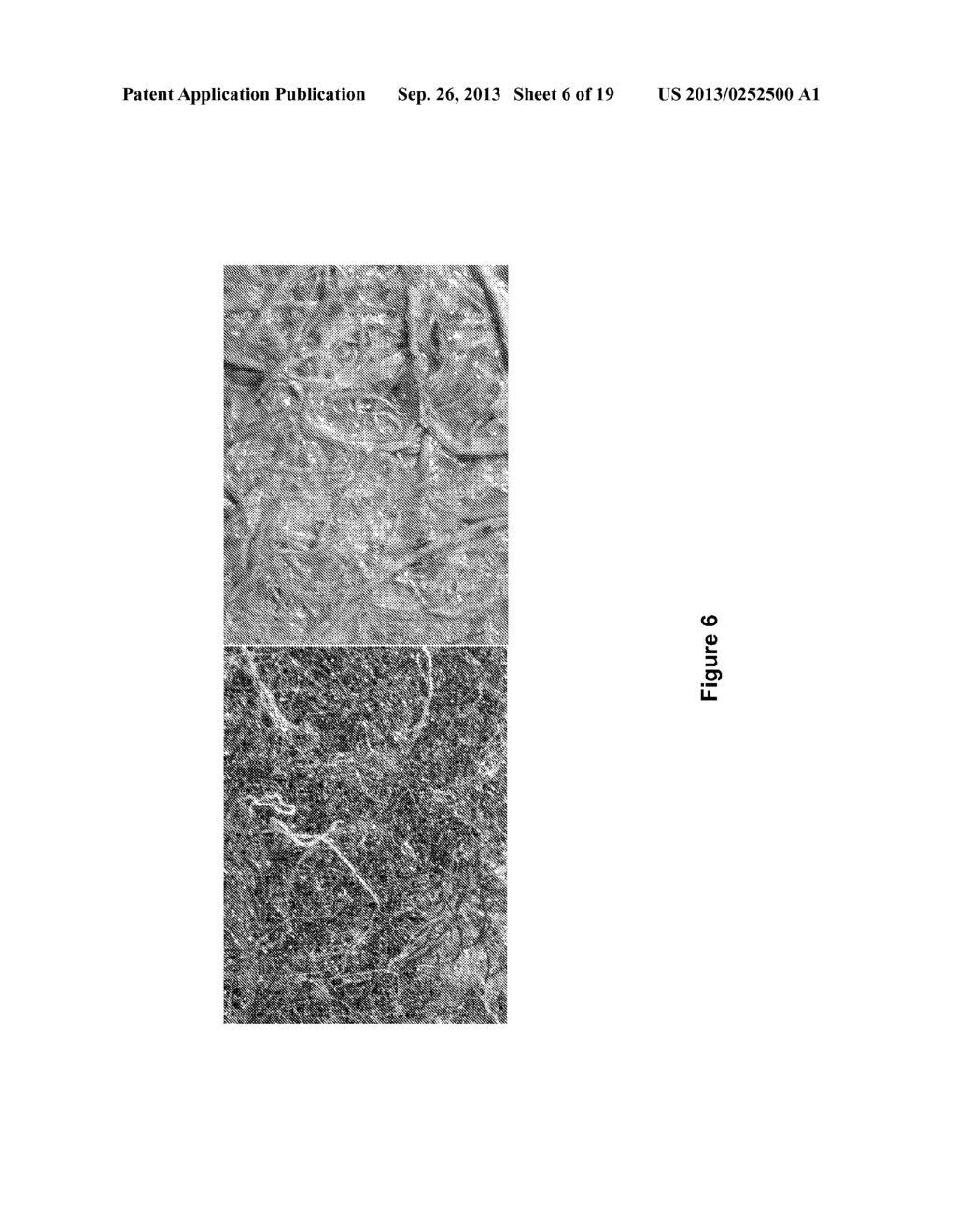 NON-WOVEN FABRIC COMPOSITES FROM COIR FIBERS - diagram, schematic, and image 07