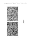 NON-WOVEN FABRIC COMPOSITES FROM COIR FIBERS diagram and image