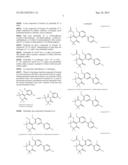 NOVEL HERBICIDE diagram and image