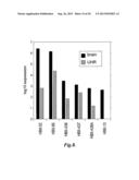 cDNA SYNTHESIS USING NON-RANDOM PRIMERS diagram and image