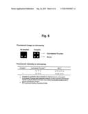 DETECTION OF TARGET NUCLEIC ACID SEQUENCES USING DUAL-LABELED IMMOBILIZED     PROBES ON SOLID PHASE diagram and image