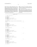 DETECTION OF TARGET NUCLEIC ACID SEQUENCES USING DUAL-LABELED IMMOBILIZED     PROBES ON SOLID PHASE diagram and image