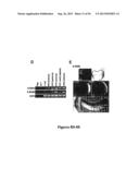 DRG11-RESPONSIVE (DRAGON) GENE AND USES THEREOF diagram and image