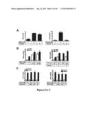 DRG11-RESPONSIVE (DRAGON) GENE AND USES THEREOF diagram and image