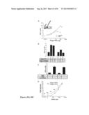 DRG11-RESPONSIVE (DRAGON) GENE AND USES THEREOF diagram and image