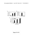 DRG11-RESPONSIVE (DRAGON) GENE AND USES THEREOF diagram and image