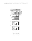 DRG11-RESPONSIVE (DRAGON) GENE AND USES THEREOF diagram and image