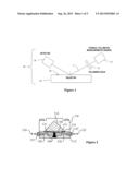 ARRAYED DETECTOR SYSTEM FOR MEASUREMENT OF ANTI-VIRAL IMMUNE RESPONSE diagram and image