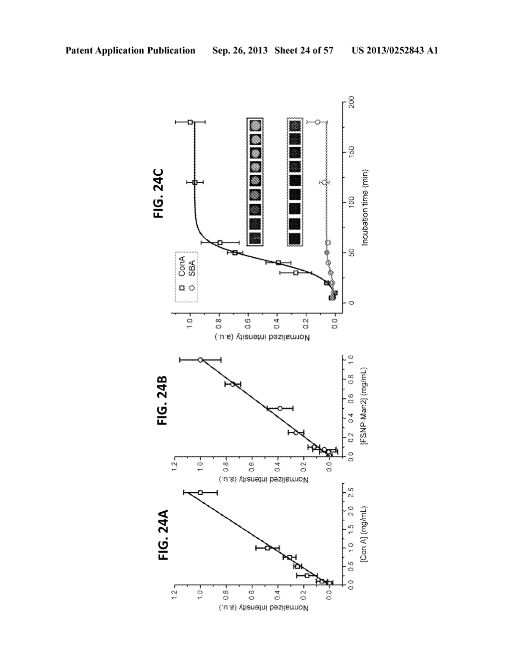 METHOD OF MAKING AND USING FLUORESCENT-TAGGED NANOPARTICLES AND     MICROARRAYS - diagram, schematic, and image 25