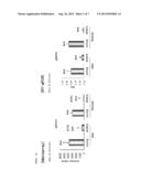 METHOD FOR SCREENING SKIN AGING-RELATED GENES AND MATERIALS FOR PREVENTING     SKIN AGING diagram and image