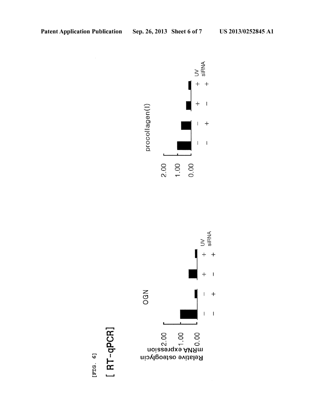 METHOD FOR SCREENING SKIN AGING-RELATED GENES AND MATERIALS FOR PREVENTING     SKIN AGING - diagram, schematic, and image 07