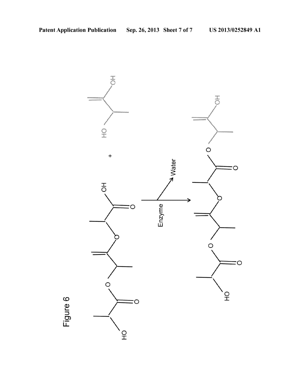 METHODS FOR SCREENING PROTEINS USING DNA ENCODED CHEMICAL LIBRARIES AS     TEMPLATES FOR ENZYME CATALYSIS - diagram, schematic, and image 08