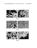 MICROSPHERES USEFUL FOR THERAPEUTIC VASCULAR EMBOLIZATION diagram and image