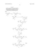 Monobactams diagram and image