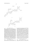 Monobactams diagram and image