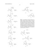 NOVEL FUSED PYRAZOLE DERIVATIVES AND THEIR USE AS ALLOSTERIC MODULATORS OF     METABOTROPIC GLUTAMATE RECEPTORS diagram and image