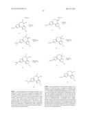 NOVEL FUSED PYRAZOLE DERIVATIVES AND THEIR USE AS ALLOSTERIC MODULATORS OF     METABOTROPIC GLUTAMATE RECEPTORS diagram and image