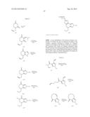 NOVEL FUSED PYRAZOLE DERIVATIVES AND THEIR USE AS ALLOSTERIC MODULATORS OF     METABOTROPIC GLUTAMATE RECEPTORS diagram and image