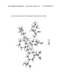 APREPITANT L-PROLINE COMPOSITION AND COCRYSTAL diagram and image