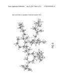 APREPITANT L-PROLINE COMPOSITION AND COCRYSTAL diagram and image