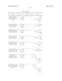 NOVEL ROCK INHIBITORS diagram and image