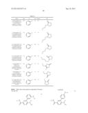 NOVEL ROCK INHIBITORS diagram and image