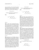 Raf Inhibitor Compounds diagram and image