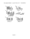 ACTIVATING PHOSPHORYLATION SITE ON GLUTAMINASE C diagram and image