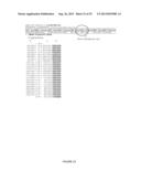 ACTIVATING PHOSPHORYLATION SITE ON GLUTAMINASE C diagram and image