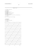 ACTIVATING PHOSPHORYLATION SITE ON GLUTAMINASE C diagram and image