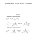 Benzoic Acid, Benzoic Acid Derivatives and Heteroaryl Carboxylic Acid     Conjugates of Hydrocodone, Prodrugs, Methods of Making and Use Thereof diagram and image