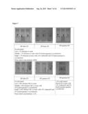 Cyclodextrin-Based Microemulsions, and Dermatological Uses Thereof diagram and image