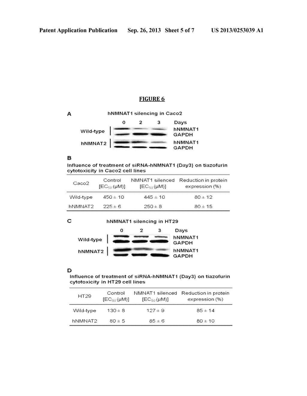 COLORECTAL CANCER TREATMENTS AND DIAGNOSTIC IMPROVEMENTS - diagram, schematic, and image 06