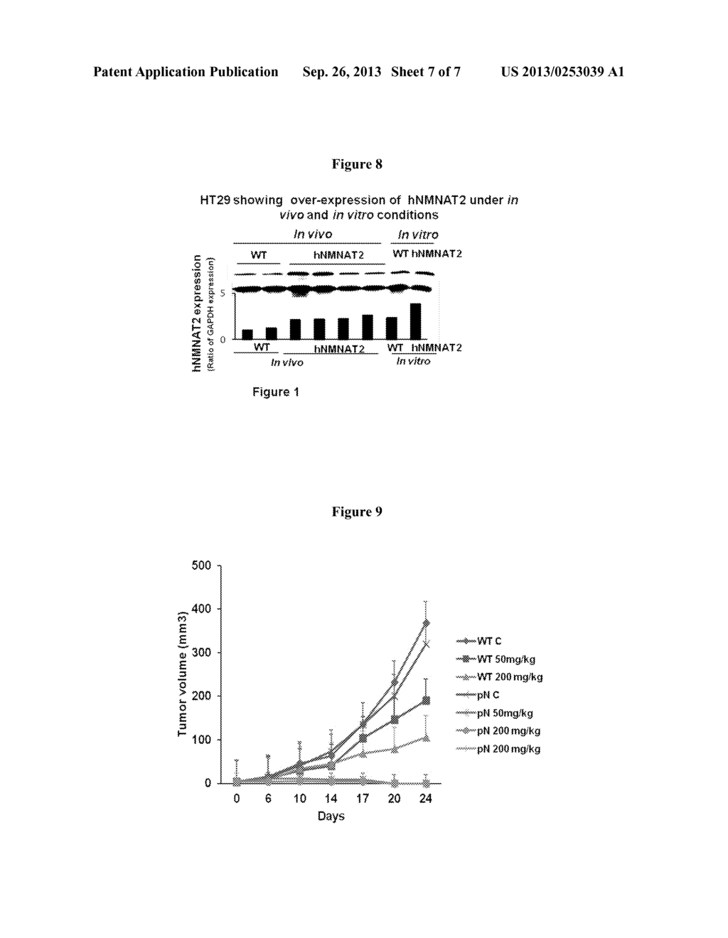 COLORECTAL CANCER TREATMENTS AND DIAGNOSTIC IMPROVEMENTS - diagram, schematic, and image 08