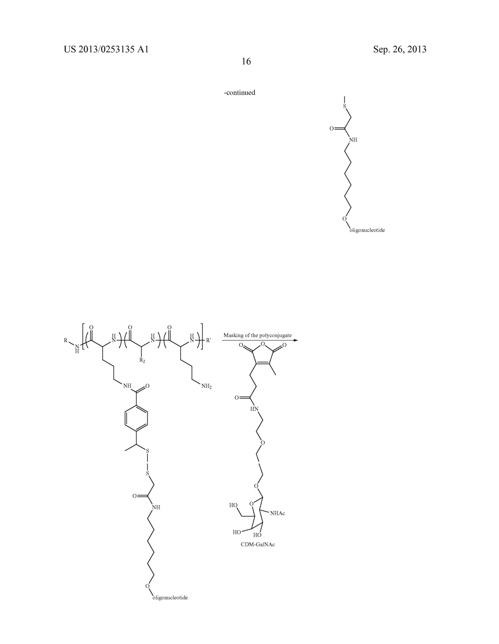 POLY(AMIDE) POLYMERS FOR THE DELIVERY OF OLIGONUCLEOTIDES - diagram, schematic, and image 29