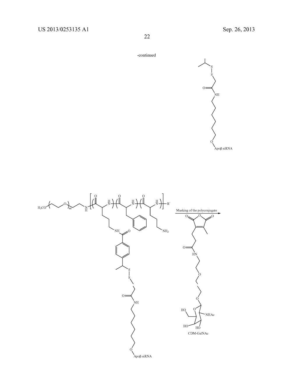 POLY(AMIDE) POLYMERS FOR THE DELIVERY OF OLIGONUCLEOTIDES - diagram, schematic, and image 35