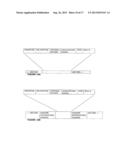 Endoplasmic Reticulum Localization Signals diagram and image