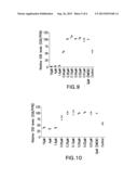 NOVEL SINGLE CHEMICAL ENTITIES AND METHODS FOR DELIVERY OF     OLIGONUCLEOTIDES diagram and image