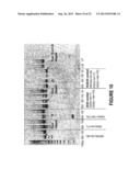 ANTISENSE OLIGONUCLEOTIDES FOR INDUCING EXON SKIPPING AND METHODS OF USE     THEREOF diagram and image