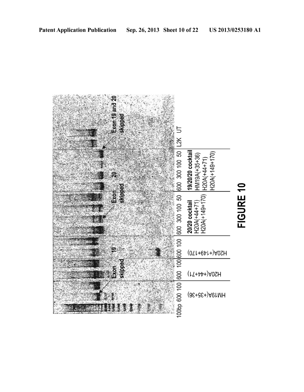 ANTISENSE OLIGONUCLEOTIDES FOR INDUCING EXON SKIPPING AND METHODS OF USE     THEREOF - diagram, schematic, and image 11