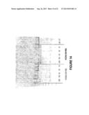 ANTISENSE OLIGONUCLEOTIDES FOR INDUCING EXON SKIPPING AND METHODS OF USE     THEREOF diagram and image