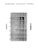 ANTISENSE OLIGONUCLEOTIDES FOR INDUCING EXON SKIPPING AND METHODS OF USE     THEREOF diagram and image