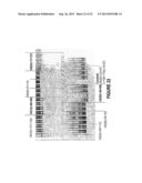 ANTISENSE OLIGONUCLEOTIDES FOR INDUCING EXON SKIPPING AND METHODS OF USE     THEREOF diagram and image