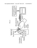 MONITORING AND REGULATING PHYSIOLOGICAL STATES AND FUNCTIONS VIA SENSORY     NEURAL INPUTS TO THE SPINAL CORD diagram and image