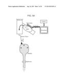 MONITORING AND REGULATING PHYSIOLOGICAL STATES AND FUNCTIONS VIA SENSORY     NEURAL INPUTS TO THE SPINAL CORD diagram and image