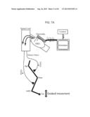 MONITORING AND REGULATING PHYSIOLOGICAL STATES AND FUNCTIONS VIA SENSORY     NEURAL INPUTS TO THE SPINAL CORD diagram and image