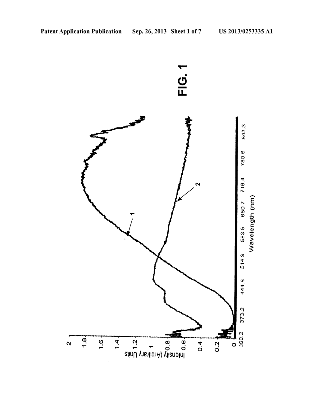 OPTICAL PROCESS AND APPARATUS FOR NON-INVASIVE DETECTION OF MELANOMA - diagram, schematic, and image 02