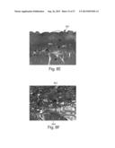 SYSTEMS FOR REMOVING HEAT FROM SUBCUTANEOUS LIPID-RICH CELLS AND SYSTEMS     FOR REMOVING HEAT FROM A TARGET TISSUE MASS diagram and image