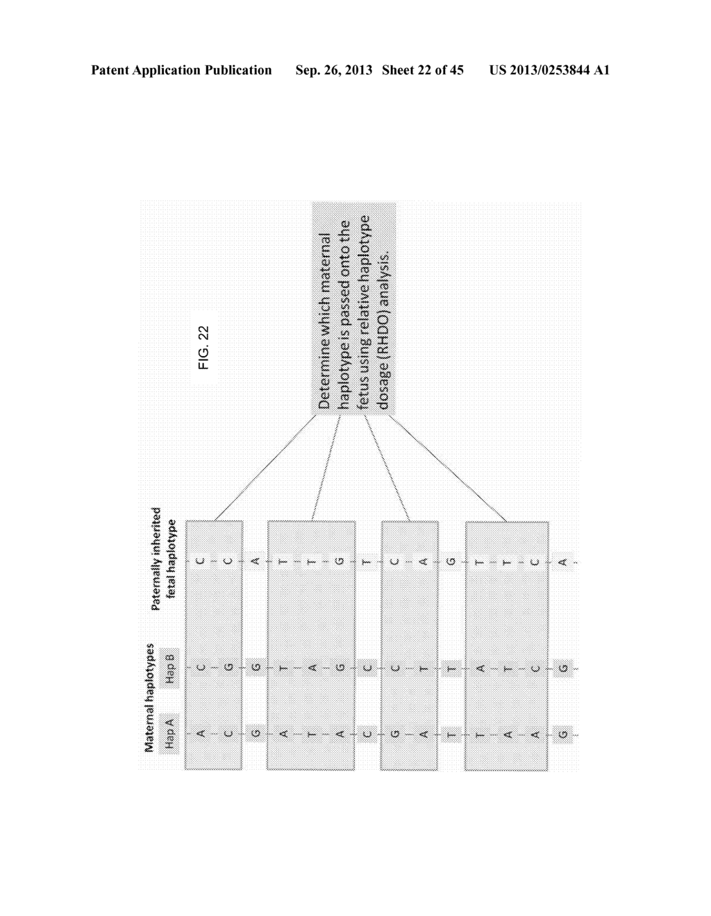 IDENTIFYING A DE NOVO FETAL MUTATION FROM A MATERNAL BIOLOGICAL SAMPLE - diagram, schematic, and image 23